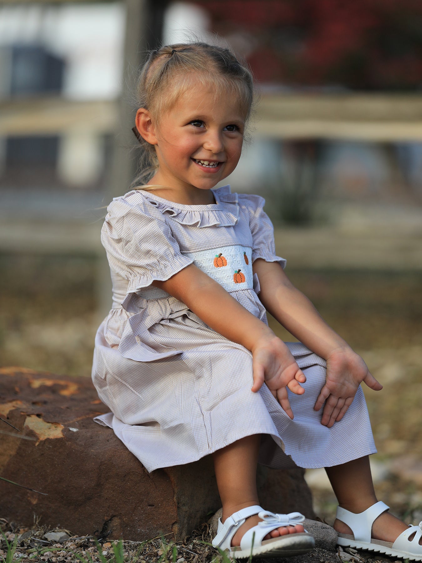 Fall Thanksgiving Pumpkin Embroidery Smock Plaid Girls Dress